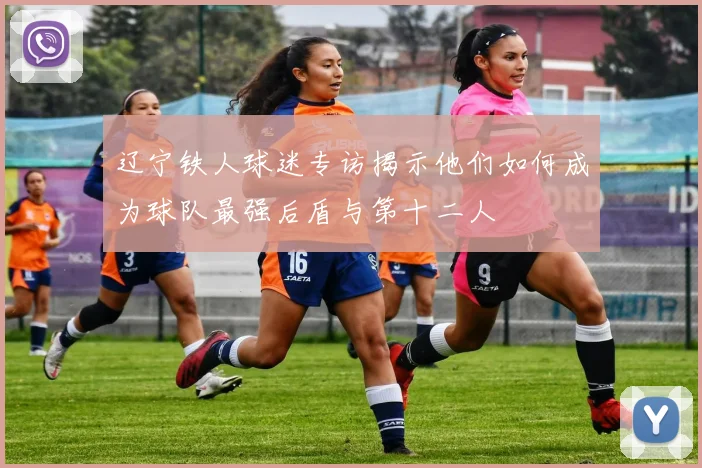 辽宁铁人球迷专访揭示他们如何成为球队最强后盾与第十二人