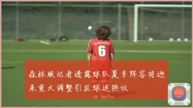 森林狼记者透露球队夏季阵容将迎来重大调整引发球迷热议