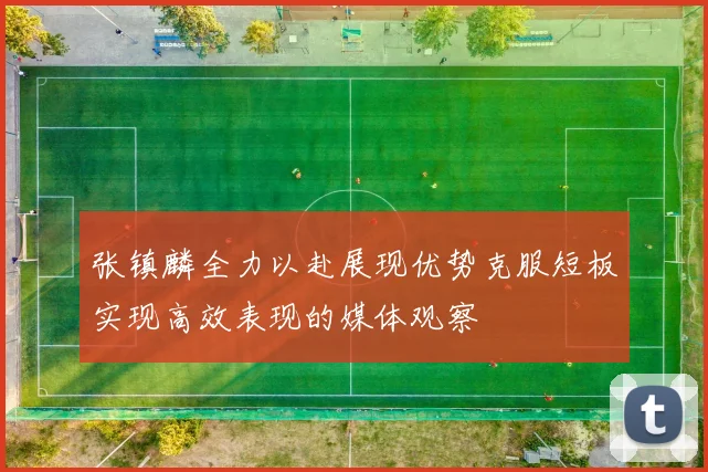 张镇麟全力以赴展现优势克服短板实现高效表现的媒体观察
