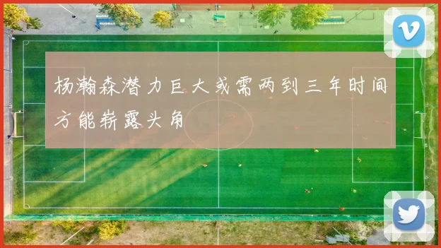 杨瀚森潜力巨大或需两到三年时间方能崭露头角